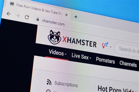 xmester live|User level system explained